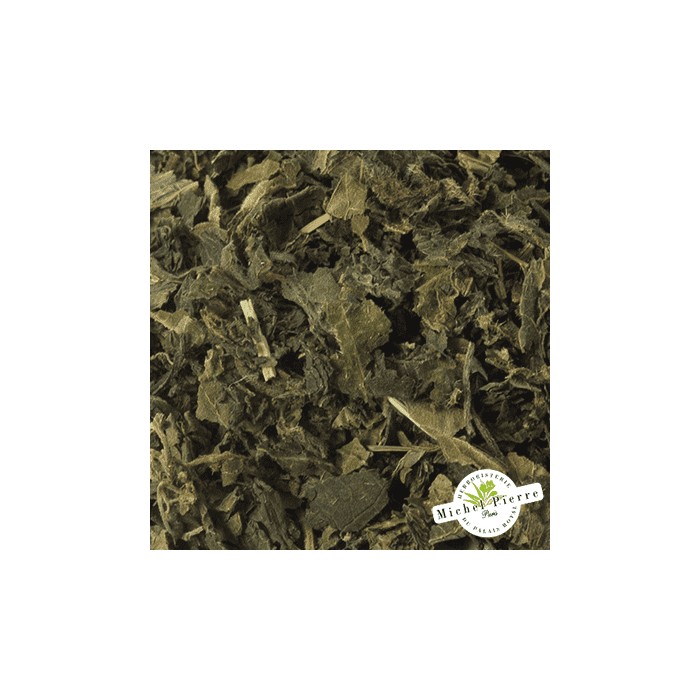 Ortie piquante - Feuilles en vrac - HERBORISTERIE DU PALAIS ROYAL PARIS MICHEL PIERRE