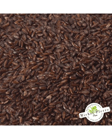 Psyllium noir - Graines en vrac - HERBORISTERIE DU PALAIS ROYAL PARIS MICHEL PIERRE