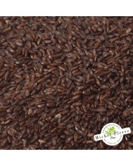 Psyllium noir - Graines en vrac - HERBORISTERIE DU PALAIS ROYAL PARIS MICHEL PIERRE