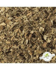Ronce - Feuilles en vrac- HERBORISTERIE DU PALAIS ROYAL PARIS MICHEL PIERRE
