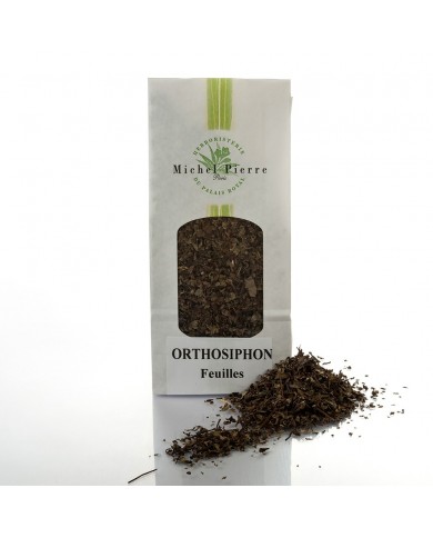 Orthosiphon - Feuilles en vrac