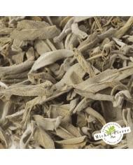 Sauge officinale - Feuilles en vrac - HERBORISTERIE DU PALAIS ROYAL PARIS MICHEL PIERRE
