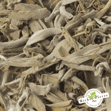 Sauge officinale - Feuilles en vrac - HERBORISTERIE DU PALAIS ROYAL PARIS MICHEL PIERRE