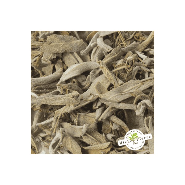 Sauge officinale - Feuilles en vrac - HERBORISTERIE DU PALAIS ROYAL PARIS MICHEL PIERRE