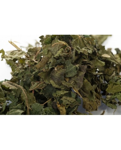 Ortie piquante feuilles en vrac BIO