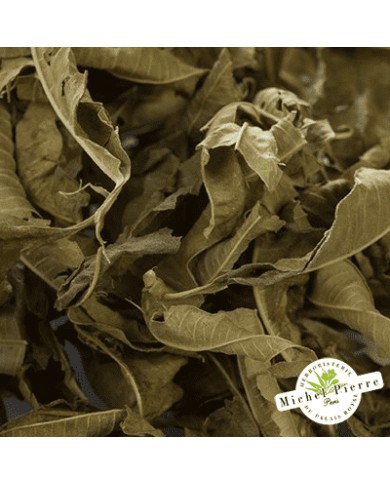 Verveine odorante - Feuilles en vrac - HERBORISTERIE DU PALAIS ROYAL PARIS MICHEL PIERRE