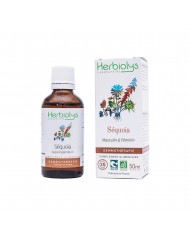 Pommier bourgeons en liquide Bio