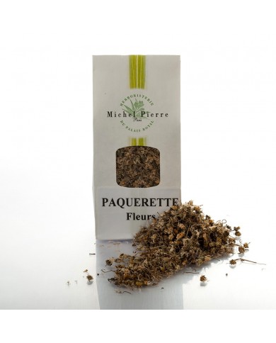 Pâquerette - Fleurs en vrac