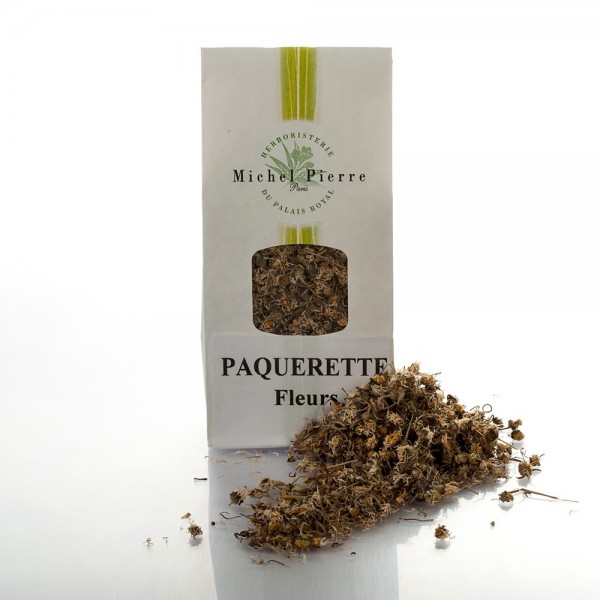 Pâquerette - Fleurs en vrac