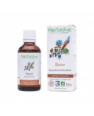 Ronce en bourgeons liquide bio- HERBORISTERIE DU PALAIS ROYAL PARIS MICHEL PIERRE