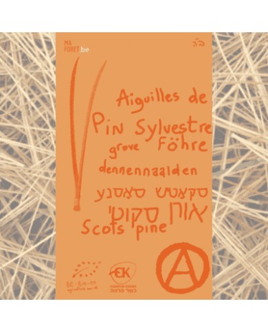 Pin Sylvestre aiguilles bio