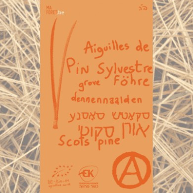 Pin Sylvestre aiguilles bio