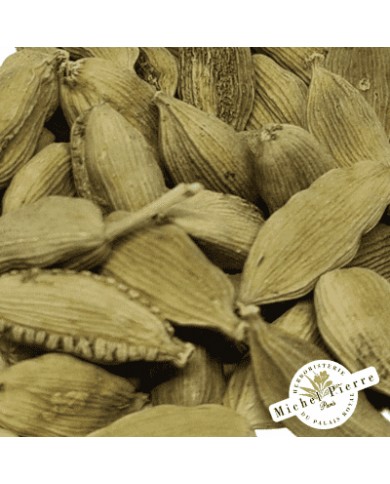 Cardamome - Fruit en vrac - Herboristerie du Palais Royal Paris