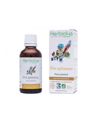 Pin sylvestre extrait hydroalcoolique Bio