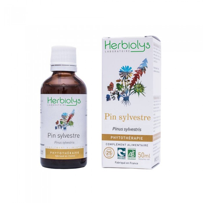 Pin sylvestre extrait hydroalcoolique Bio
