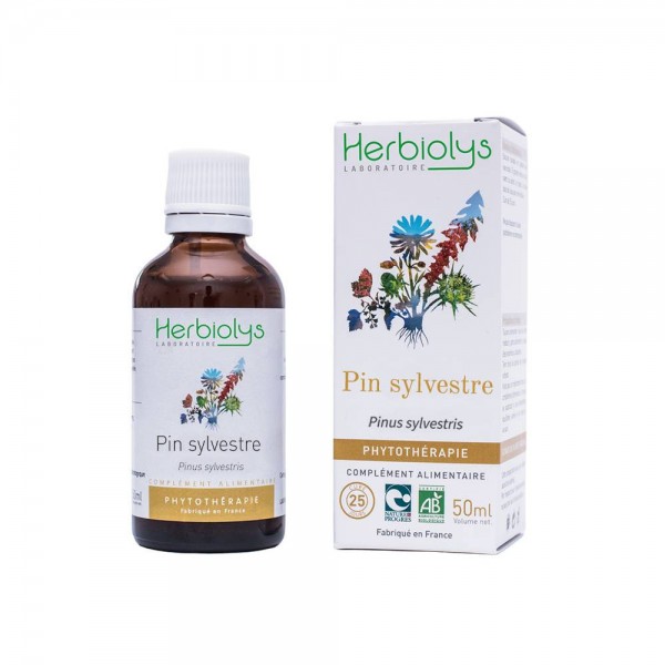 Pin sylvestre extrait hydroalcoolique Bio