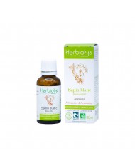 Bouleau verruqueux bourgeons sans alcool Bio