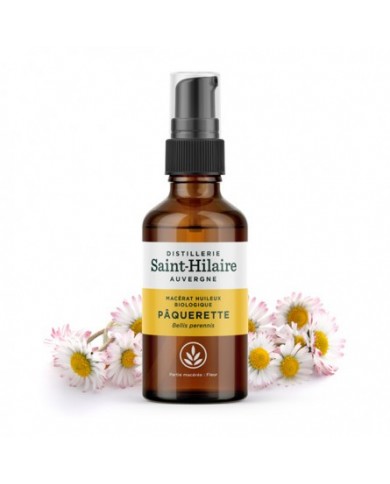 Pâquerette - macérat huileux biologique