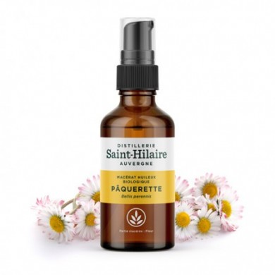 Pâquerette - macérat huileux biologique
