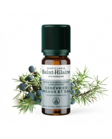Genévrier en huile essentielle Bio