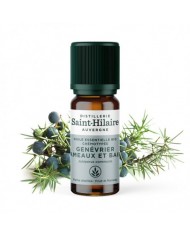 Epinette noire en huile essentielle Bio