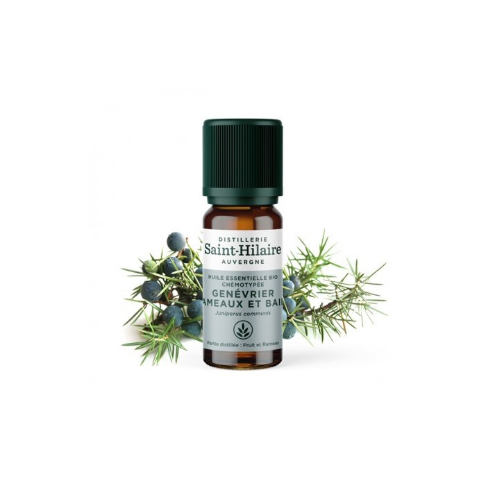 Genévrier en huile essentielle Bio