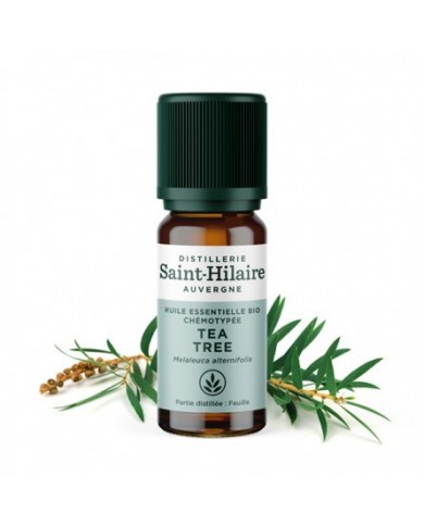 Tea tree en huile essentielle bio