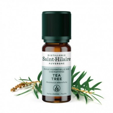 Tea tree en huile essentielle bio