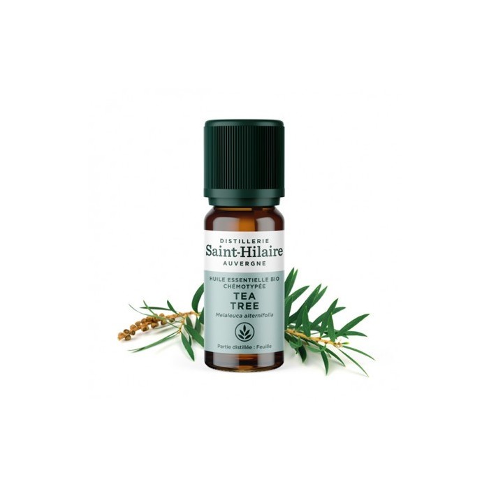 Tea tree en huile essentielle bio