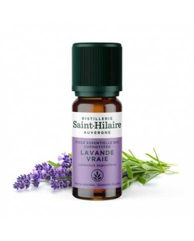 Lavande vraie en huile essentielle Bio