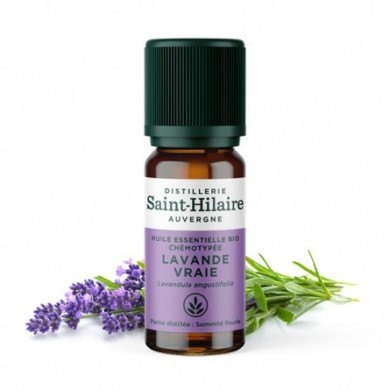 Lavande vraie en huile essentielle Bio