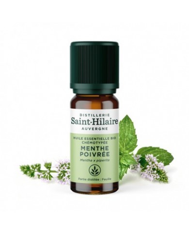 Menthe poivrée en huile essentielle Bio