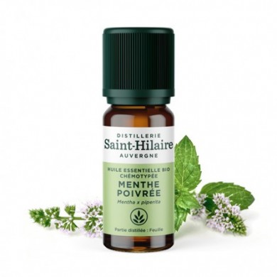 Menthe poivrée en huile essentielle Bio