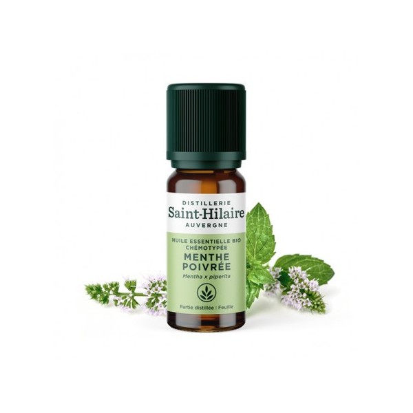 Menthe poivrée en huile essentielle Bio