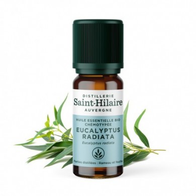 Eucalyptus radié en huile essentielle Bio