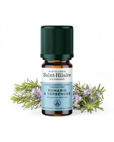 Romarin à verbénone en huile essentielle Bio