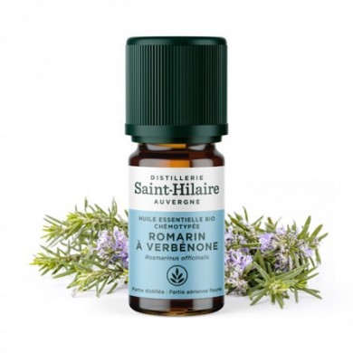 Romarin à verbénone en huile essentielle Bio