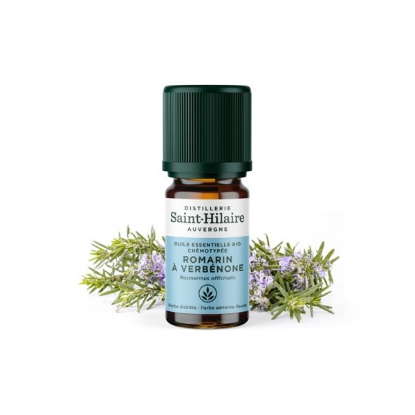Romarin à verbénone en huile essentielle Bio