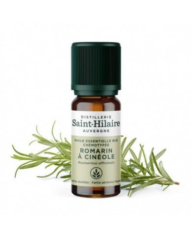 Romarin à cinéole en huile essentielle Bio