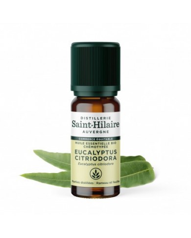 Eucalyptus citronné en huile essentielle Bio