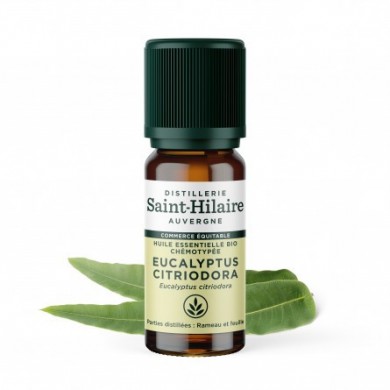 Eucalyptus citronné en huile essentielle Bio