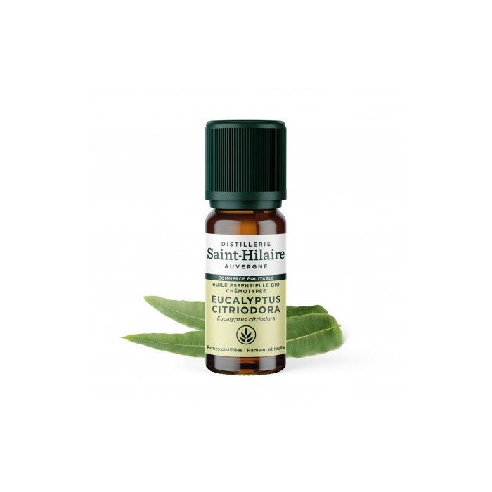 Eucalyptus citronné en huile essentielle Bio