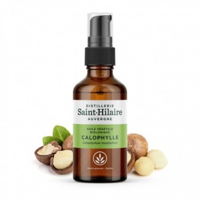 Calophylle en huile végétale Bio