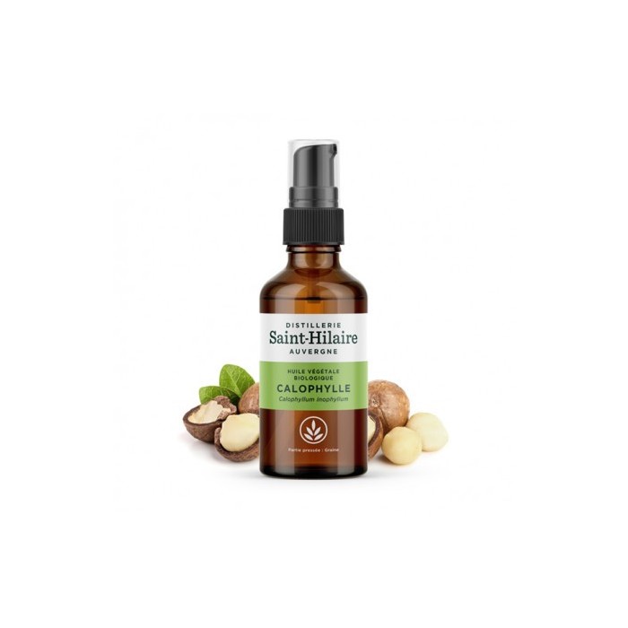 Calophylle en huile végétale Bio