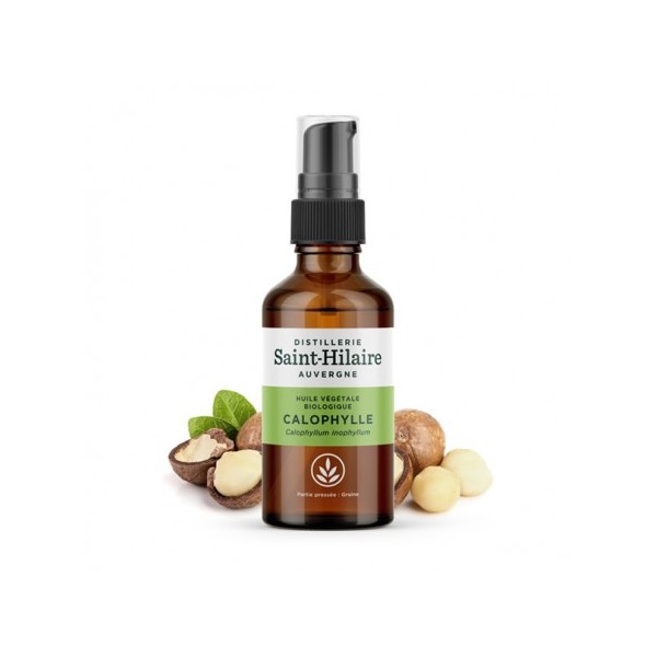 Calophylle en huile végétale Bio