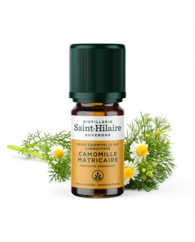 Camomille Matricaire en huile essentielle Bio