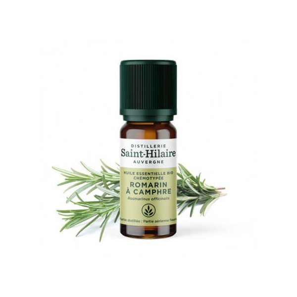 Romarin à Camphre en huile essentielle Bio