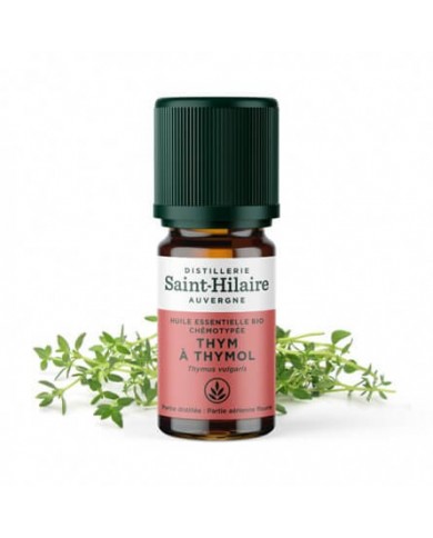Thym à thymol en huile essentielle Bio