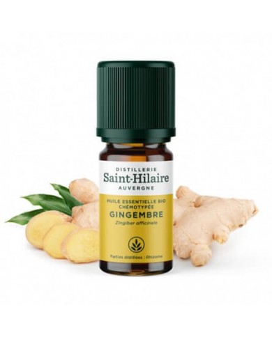 Gingembre en huile essentielle Bio