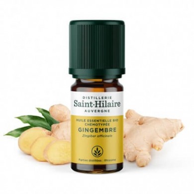 Gingembre en huile essentielle Bio